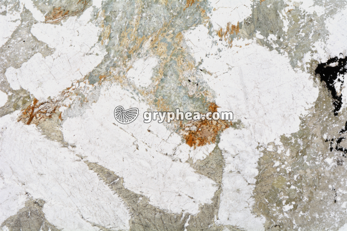 Métagabbro à Hornblende LPNA x3,5 - gryphea.com